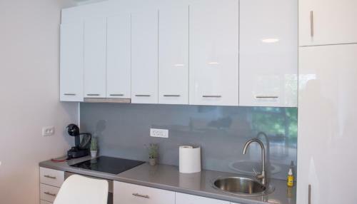 Apartment Ema