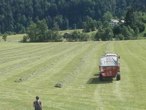 Apartamento Kirchdorf 300