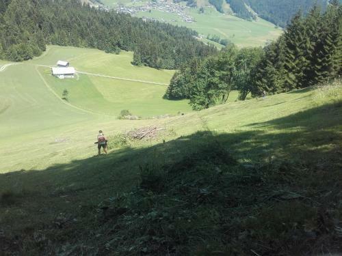 Apartamento Kirchdorf 300