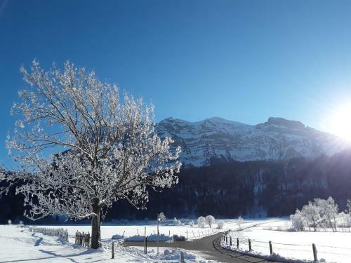 Apartamento Appartment Hirschberg