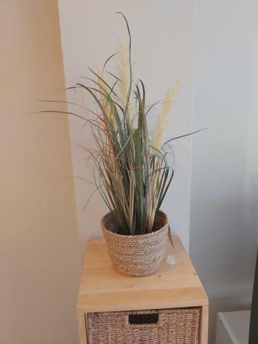 Apartamento Forum Aan Zee