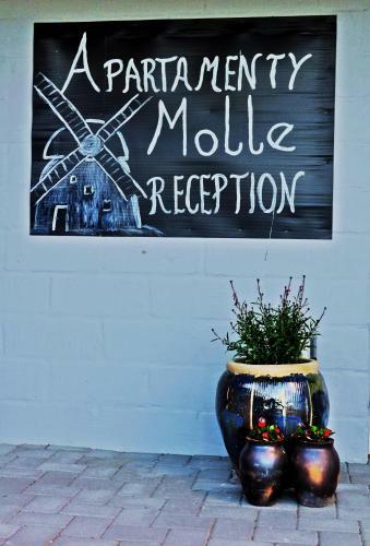 Apartamenty Molle