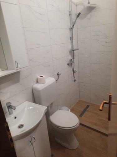 Apartmani Aleksandar