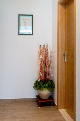 Apartmani Iva