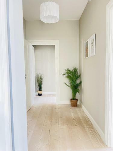 Aday - 2 Bedroom Apartment With Patio