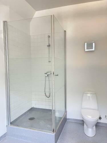Aday - Aalborg Mansion - 3 Bedroom Apartment