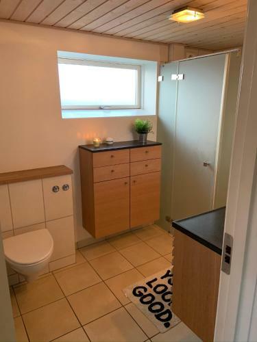 Nice And Cosy Apartment Aalborg