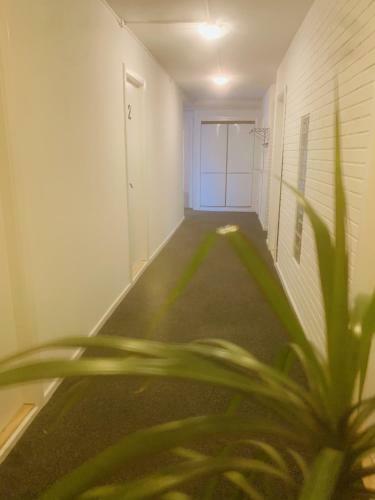 Hostal Aday - S�ndervangsvej - Room 2