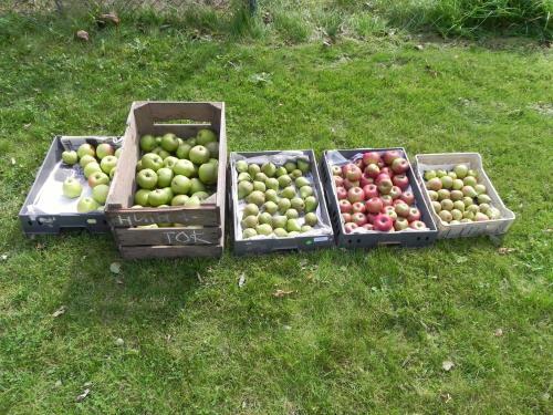 Appels En Peren Bed And Breakfast