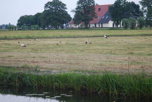 Bed & Breakfast Het Vijfde Seizoen