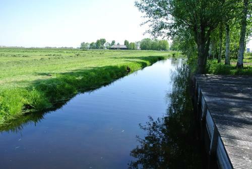 Skaap Amsterdam Waterland