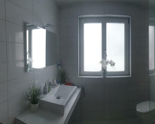 Apartmenthaus-mistel