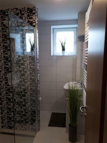 Apartmenthaus-mistel