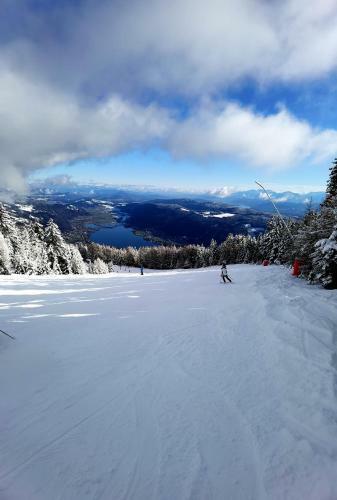 Apartment Wald - Im Skigebiet Gerlitzen & Ossiacher See