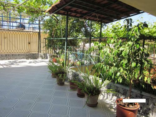 Hostal Guest House And Tavern Leo