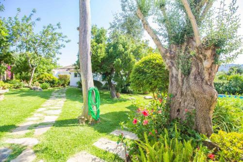 Preciosa Villa T�pica Mallorquina Con Wifi Y A/c