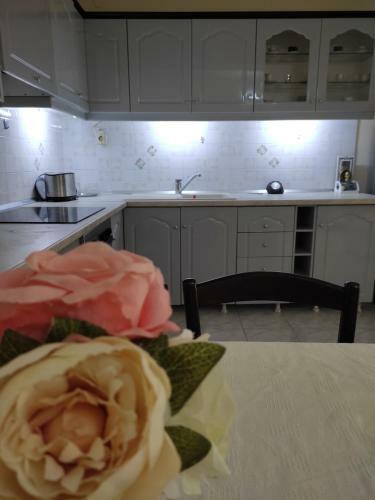 Apartments Classic Hera