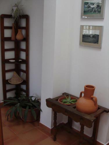 Apartamento La Laja 13