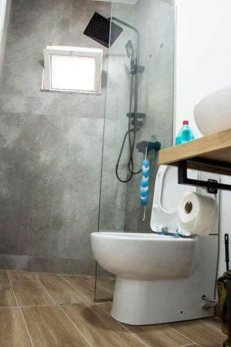 Apartament Stefani