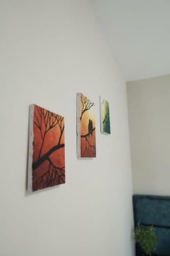 Luka's Apartment Sarand�