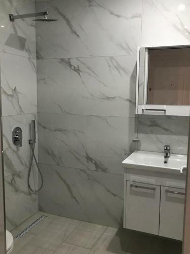 Luxury Apartment