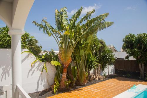 Impeccable 3-bed Villa In Playa Blanca