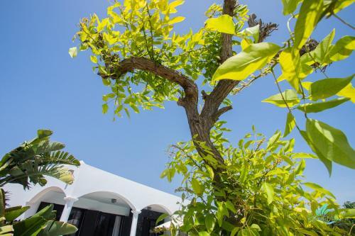 Impeccable 3-bed Villa In Playa Blanca