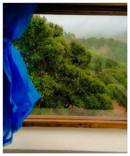 Apartamento Hospedaje Y Centro Hol�stico Kuatlicue