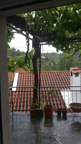 Maro's Village House