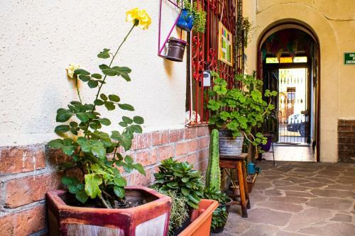 Hostal Ik�