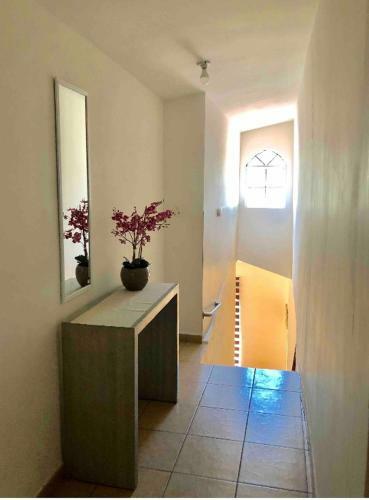 Apartamento Agradable* Y C�modo Departamento Familiar (Wifi)