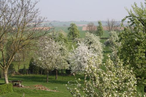 Bed & Breakfast De Melkfabriek