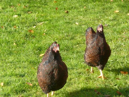 Bed & Breakfast Slaopen En Stoet