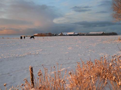 Bed & Breakfast De Stormvogel
