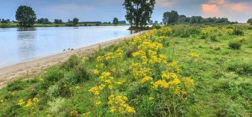 Bed & Breakfast Herberg Het Hart Van Alem