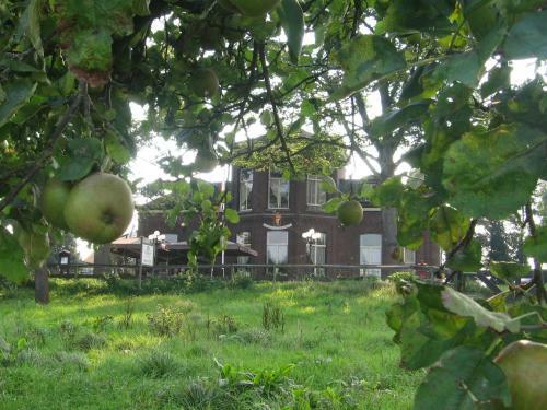 Hotel De Os En Het Paard