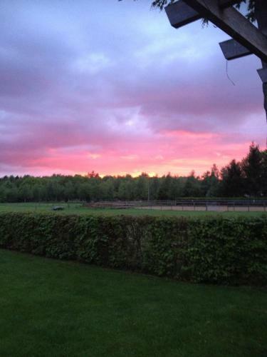 B&B De Kornelishoeve