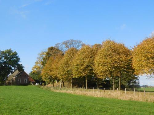 Apartamento Logementen Jannum