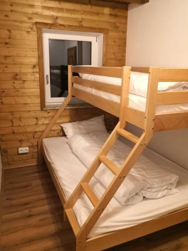 Chalet Kitzski & Wildkogel Arena