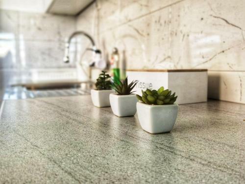 Pale City Center Apartment