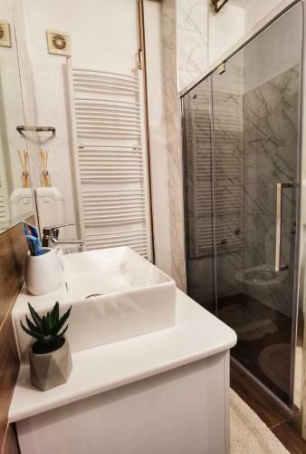 Pale City Center Apartment