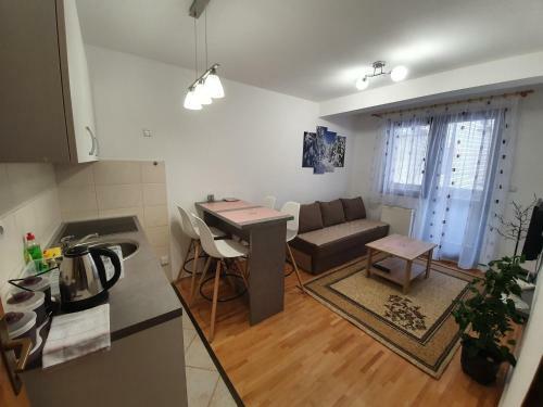 Apartments Sa?a