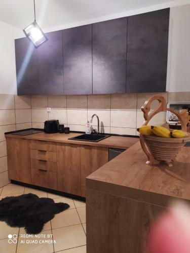 Apartman Kosta Petrov