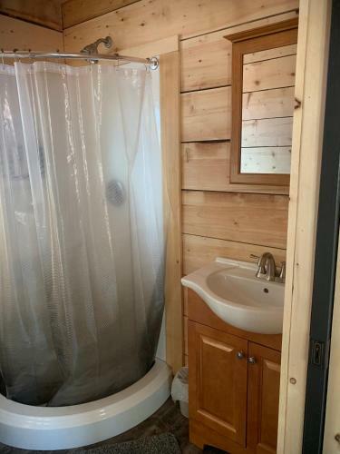 Denali Cabin @ Homewood Hideaway