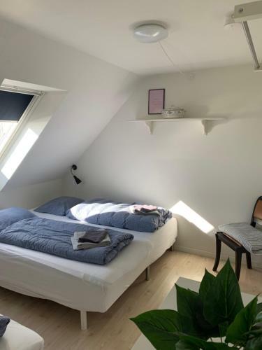 Hostal Pakhuset Anholt