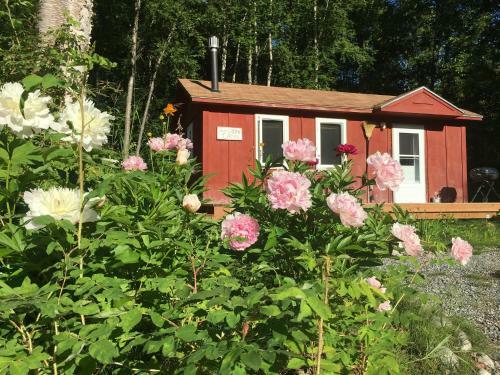 Trapper John's Cabin & Cottages