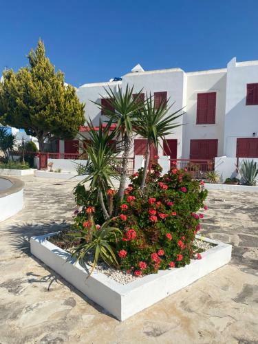 Ikaria Village Apartment