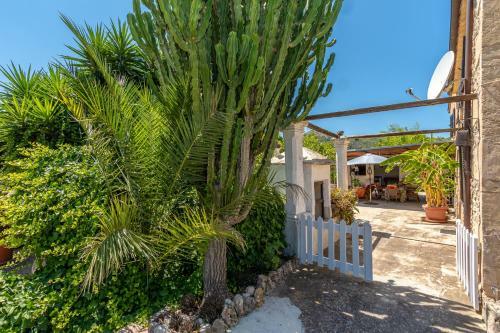 Villa Ca Na Pereta