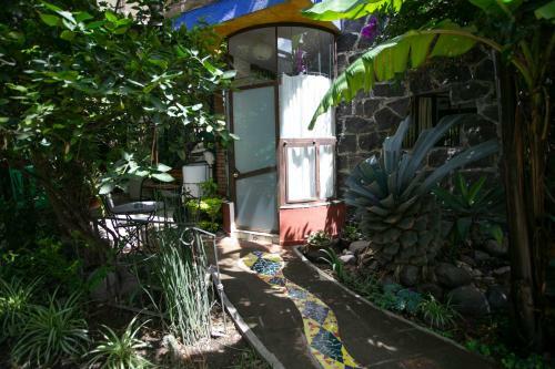 Apartamento Majikal B&B - Cuevita