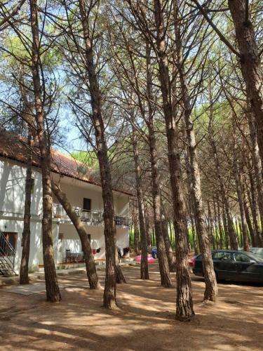Apartamento Hotel Domeniko&juri